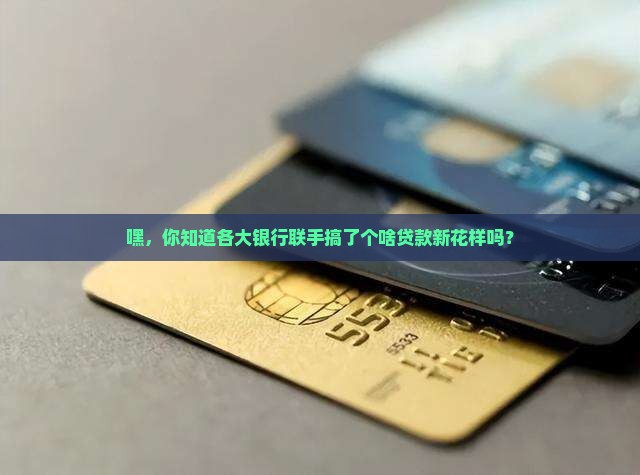 各大银行联合的贷款渠道