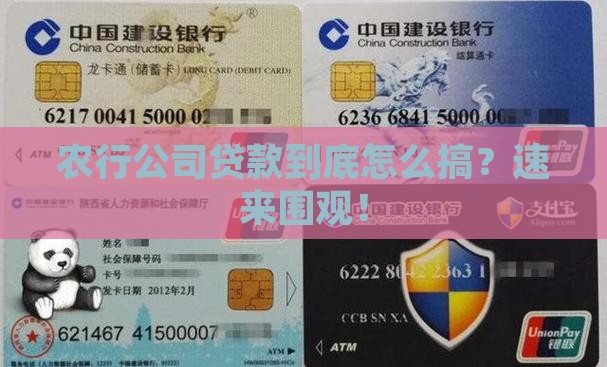 农行公司贷款怎么贷的啊
