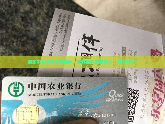 德阳农业公司贷款 德阳农业公司贷款