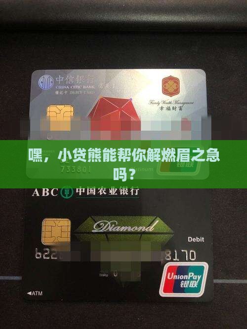 小贷熊贷款平台