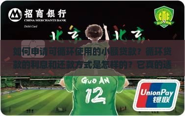 可循环使用的小额贷款 可循环使用的小额贷款