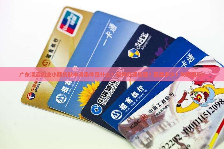 广东清远创业小额贷款