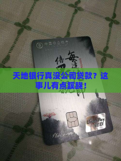 天地银行有没有公司贷款