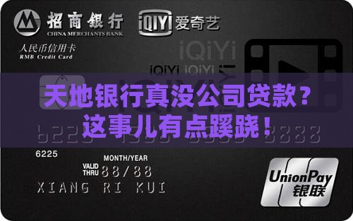 天地银行有没有公司贷款