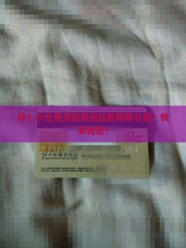 小仓鼠贷款是哪里公司