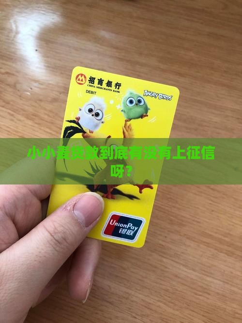 小小麦贷款上征信没