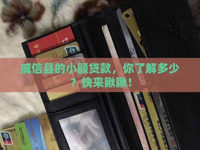 威信县小额贷款