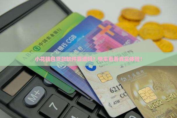 小花钱包贷款软件怎么样