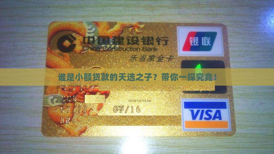 小额贷款的目标群体调研
