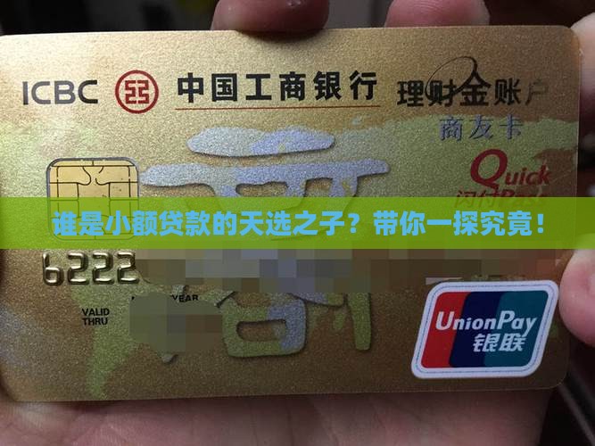 小额贷款的目标群体调研