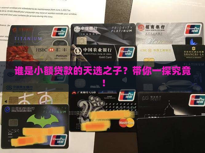小额贷款的目标群体调研