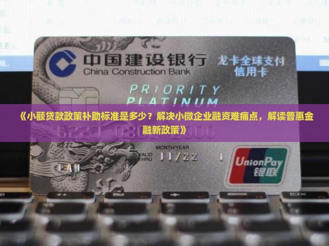 小额贷款政策补助标准 小额贷款政策补助标准