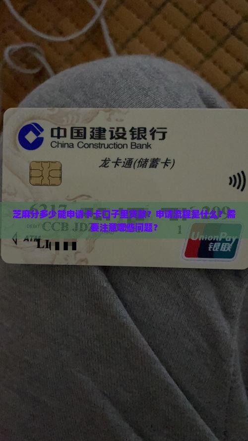 卡卡口子里芝麻分贷款