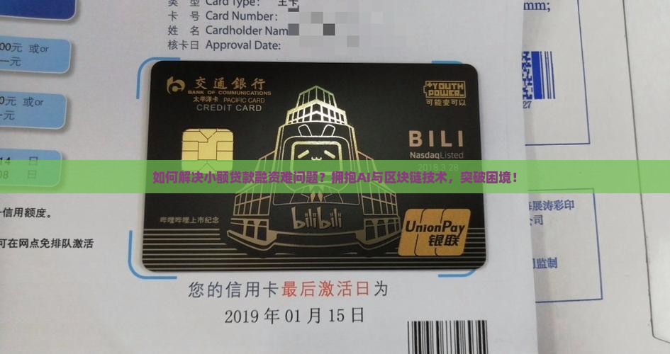 小额贷款获得融资