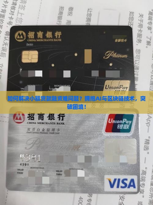 小额贷款获得融资