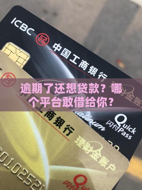 哪个平台逾期了可以贷款