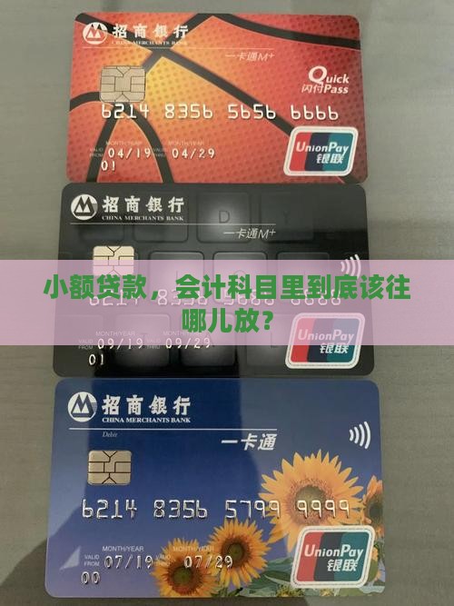 小额贷款一般挂哪个科目