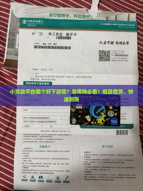 小贷款平台哪个好下款呢