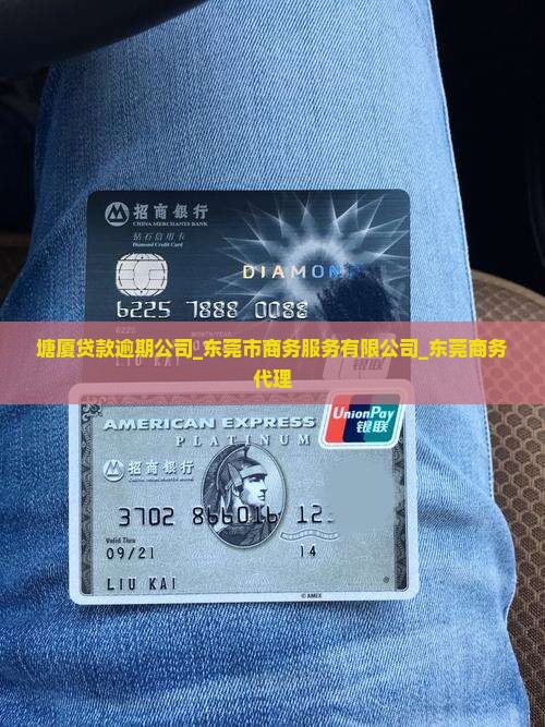 塘厦贷款逾期公司