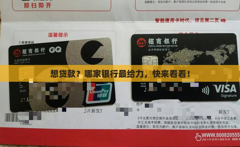 哪个银行个人可以贷款
