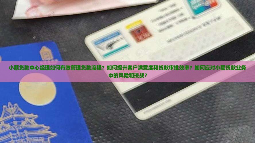 小额贷款中心经理