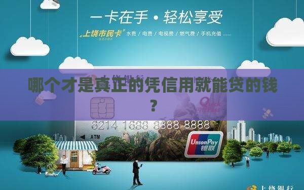 哪个是纯个人信用贷款
