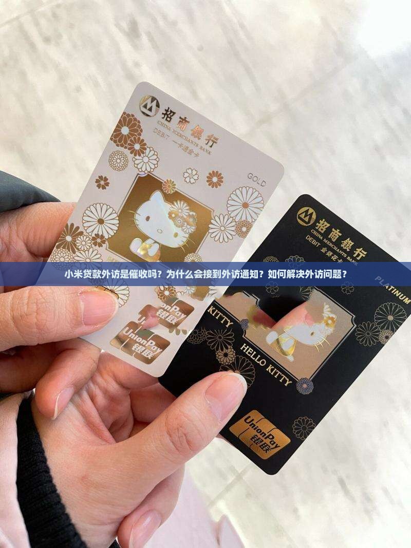 小米贷款外访中中