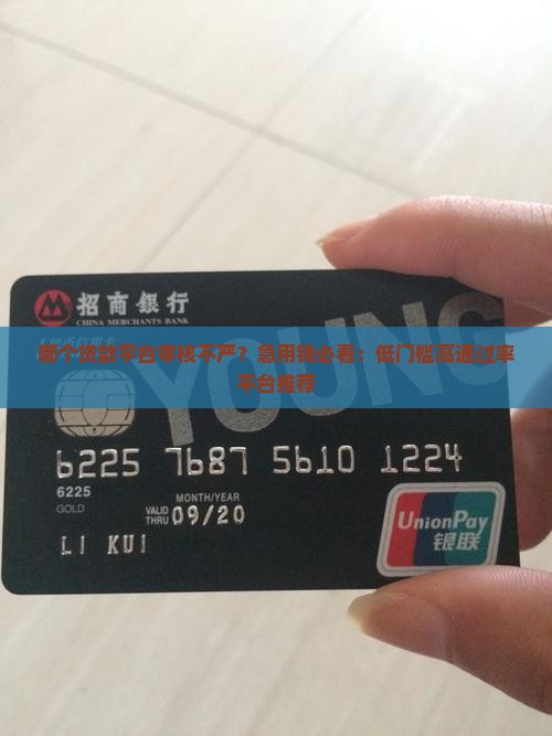 哪个贷款平台审核不严