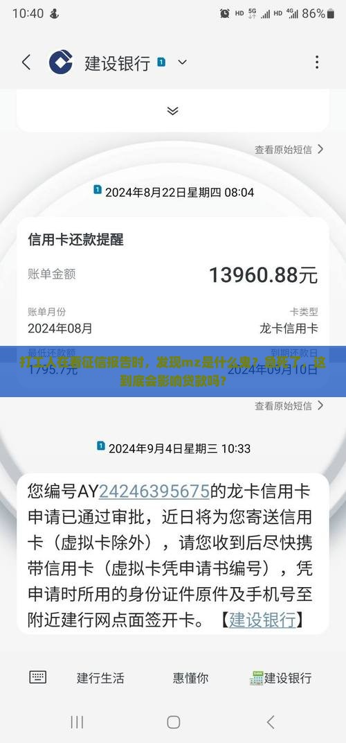 征信上小额贷款mz是什么意思