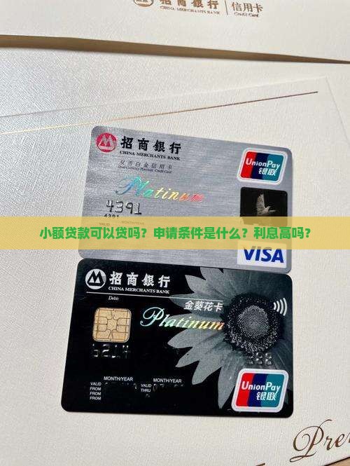 小额贷款可以贷吗
