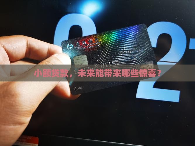 小额贷款前景利益