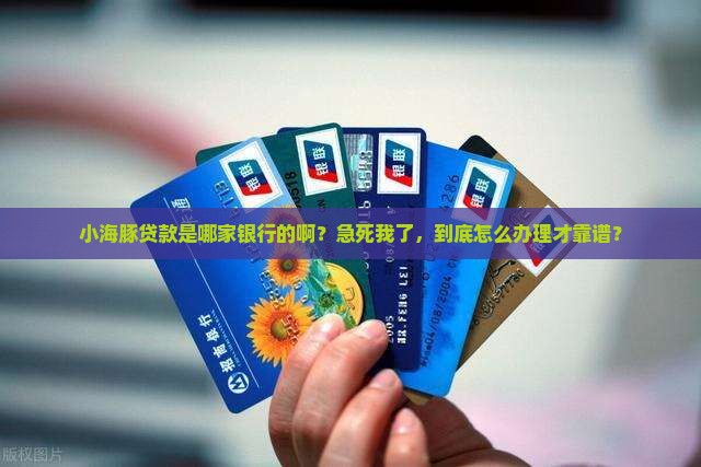 小海豚贷款是哪个口子