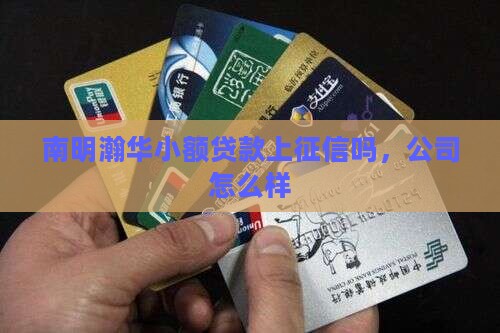 南明瀚华小额贷款