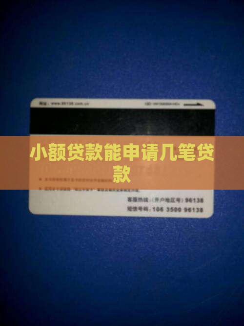 小额贷款能贷几笔
