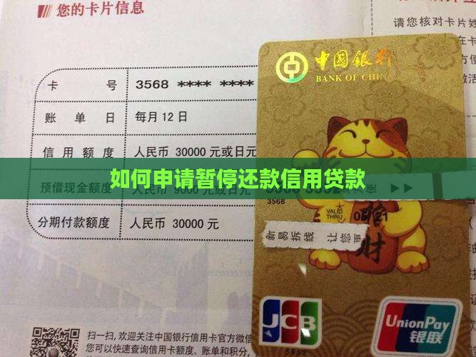 怎么暂停还款信用贷款