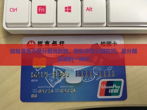 微粒贷是不是分期贷款的