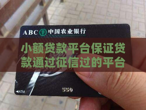 小额贷款保证通过的