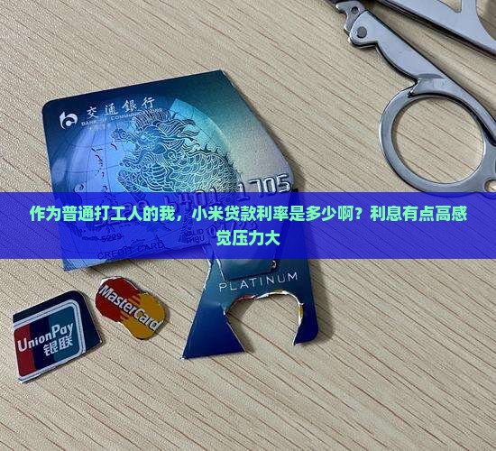 小米贷款多钱利息