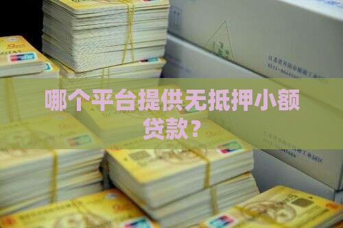 哪里有无抵押贷款平台