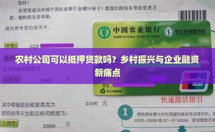 农村公司可以抵押贷款吗