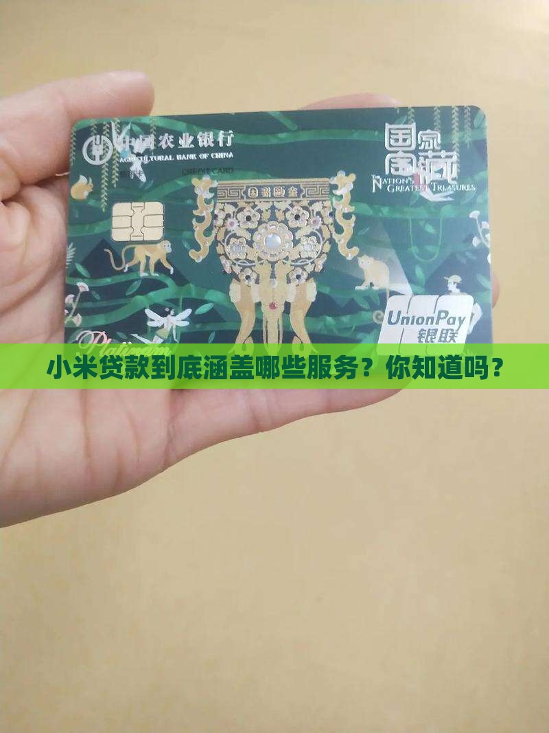 小米贷款包括什么