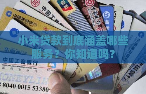 小米贷款包括什么