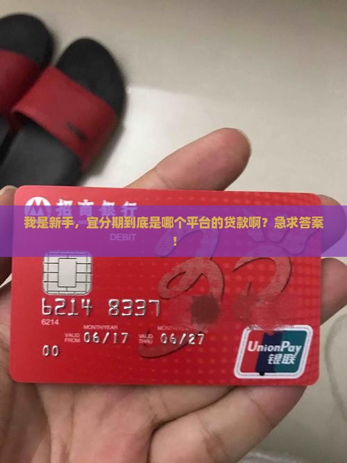 宜分期是那个平台贷款
