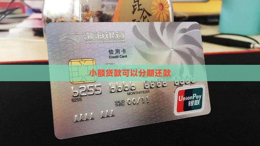 小额贷款可以分期付款