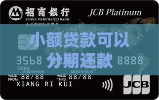 小额贷款可以分期付款
