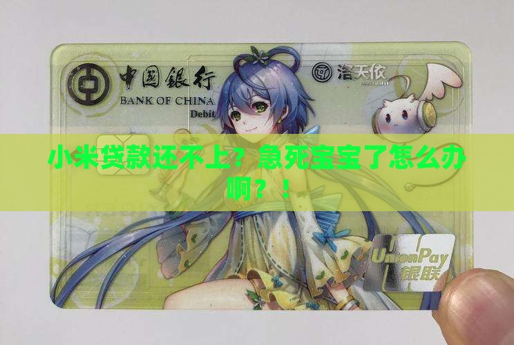 小米贷款无法还款要怎么办呢