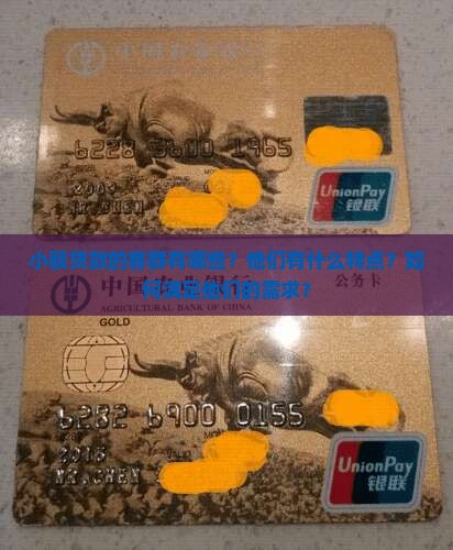 小额贷款的客群 小额贷款的客群