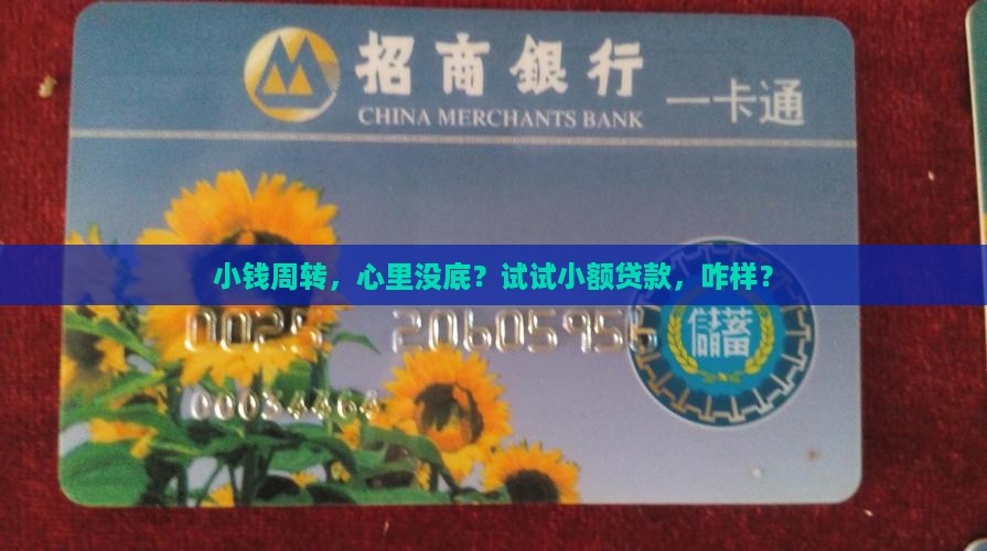 小额贷款基本对白