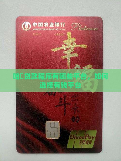 哈罗贷款程序有哪些平台