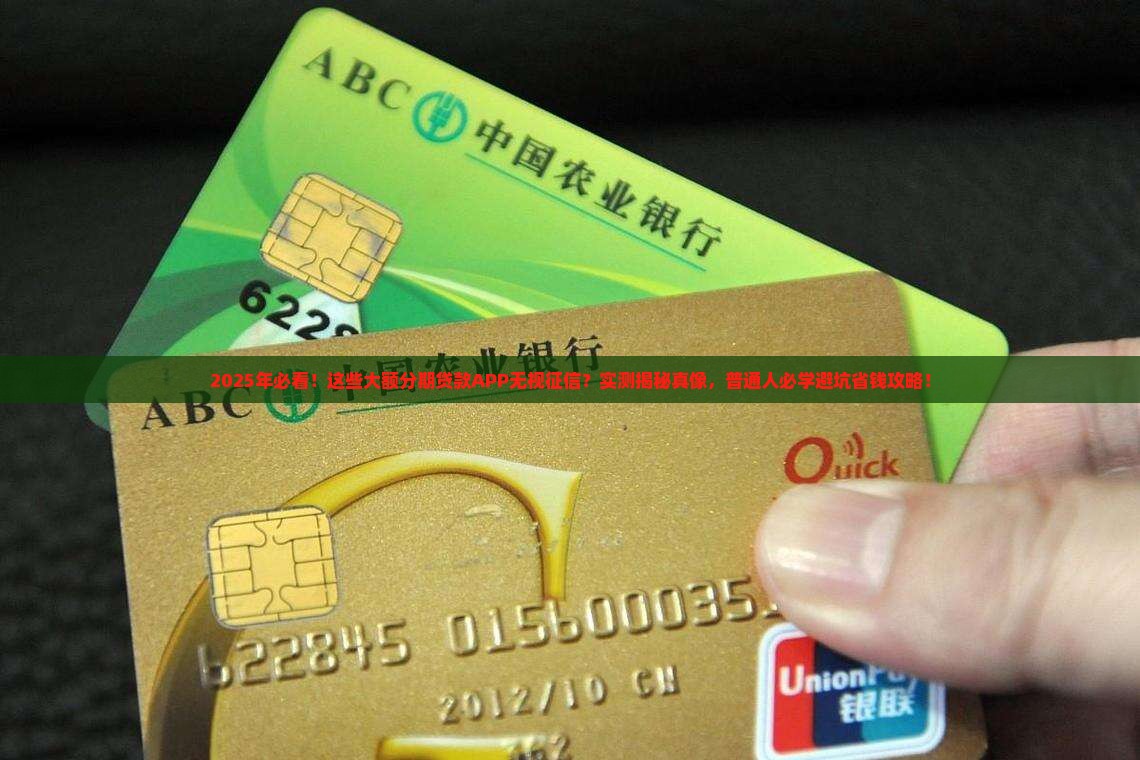 大额分期贷款app无视征信
